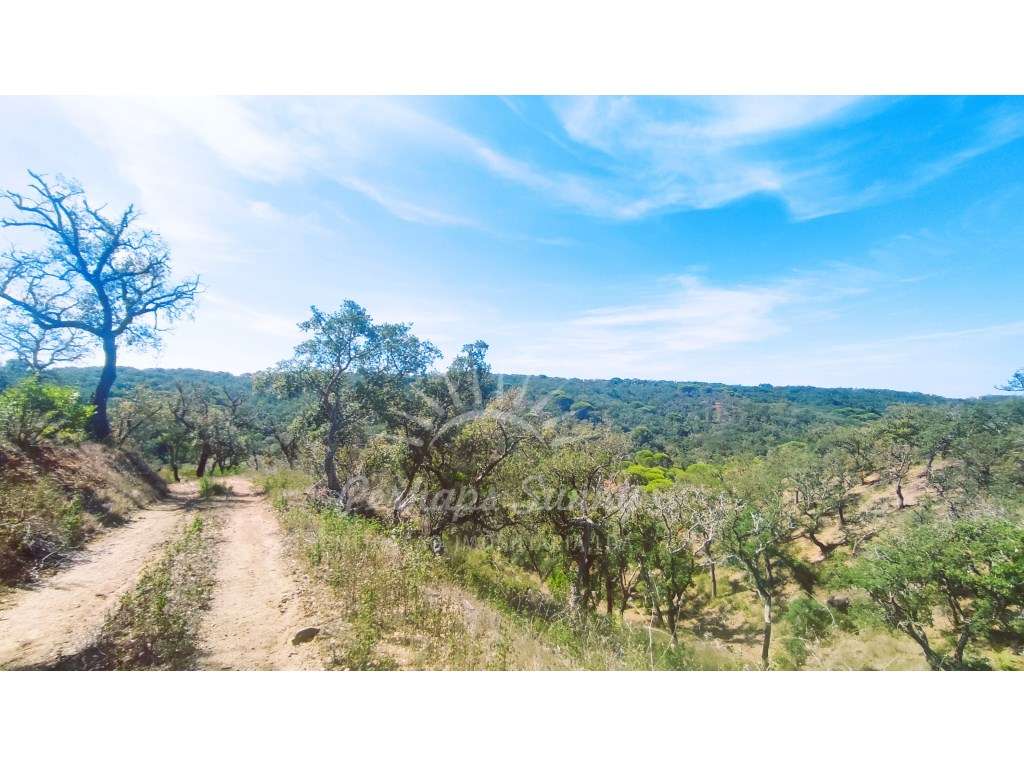 Terreno Rústico - Grande imagem: 5/19