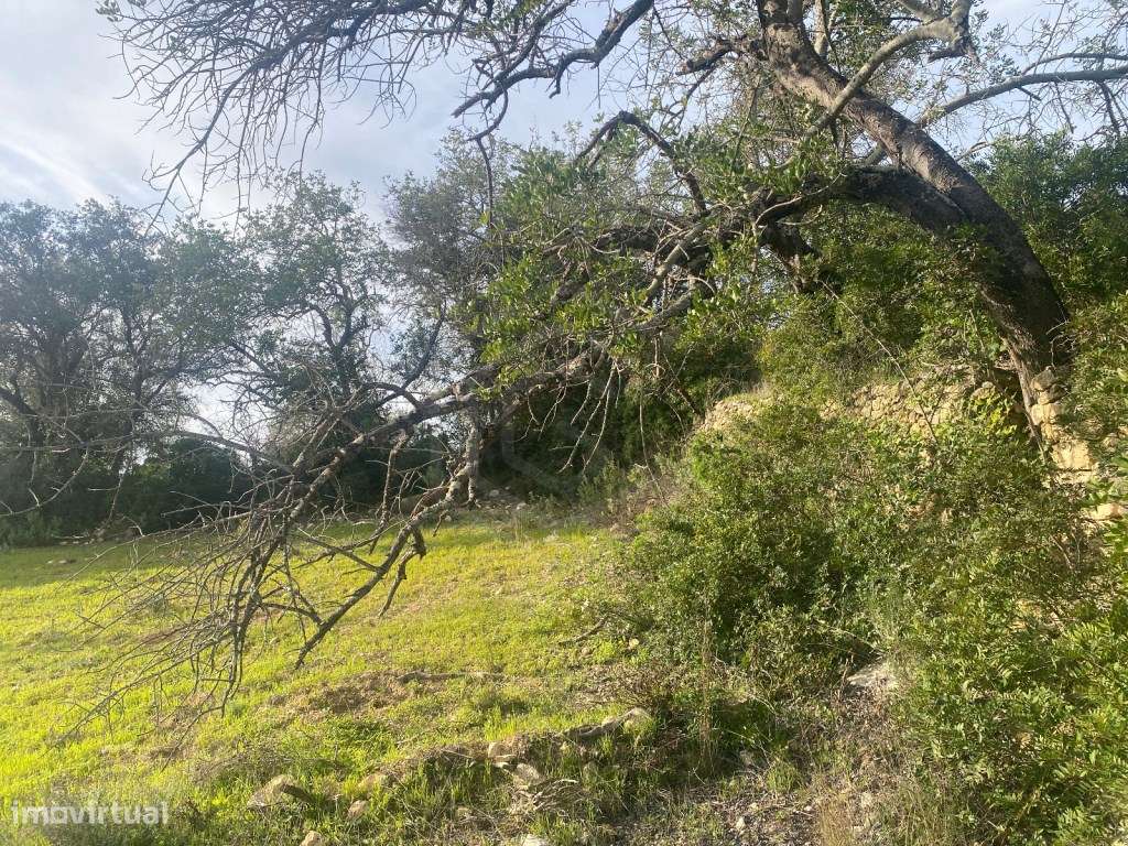 Terreno rústico localizado no Poral com 400m2, Loulé, Algarve - Grande imagem: 4/18