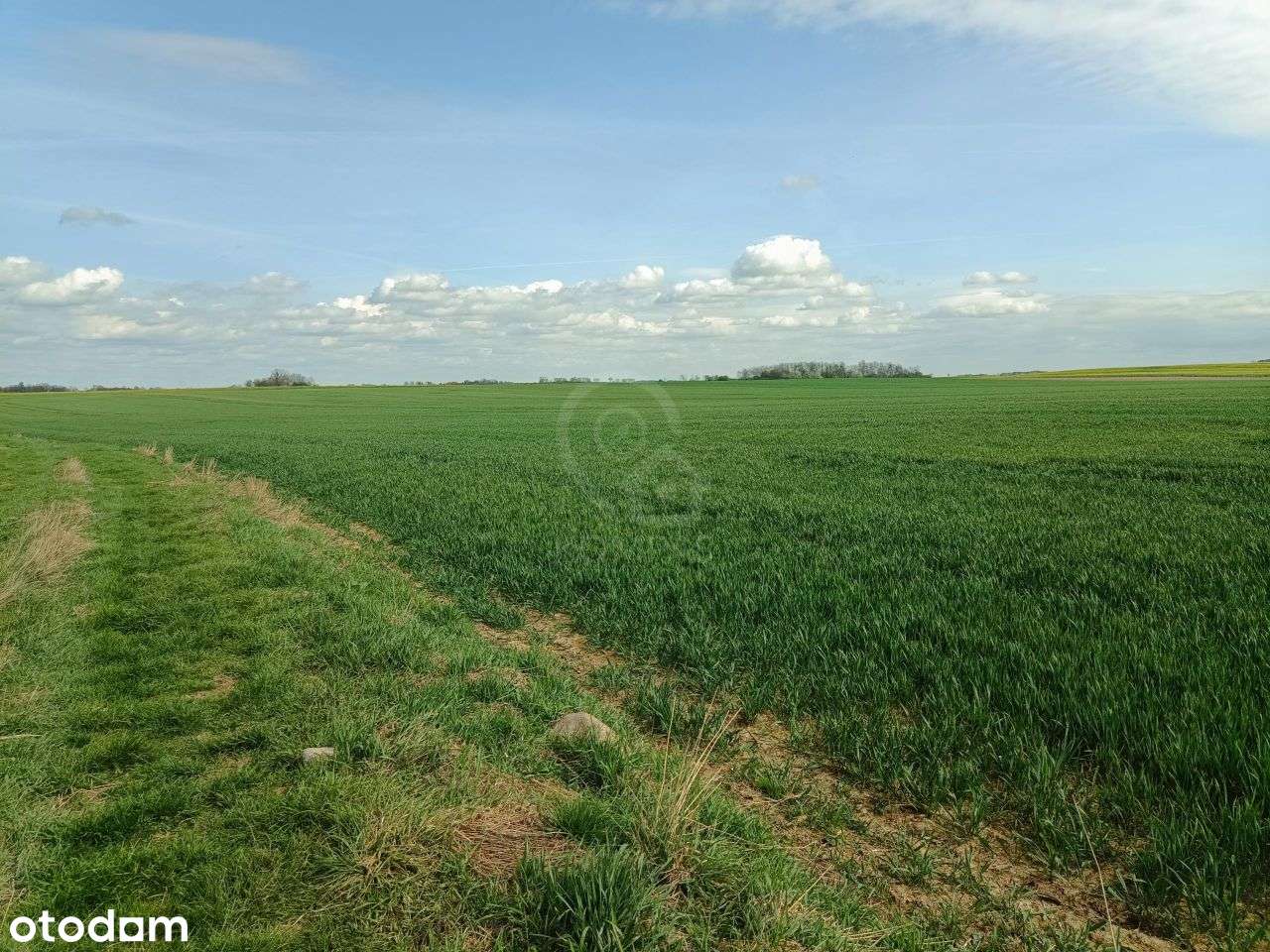 Działka obok Kostomłot, blisko autostrady A4 - Pełny obrazek: 4/4