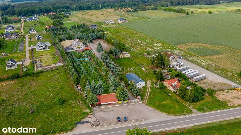 działki budowlane w Świerkowej Oazie w Żółtkach - Pełny obrazek: 5/18