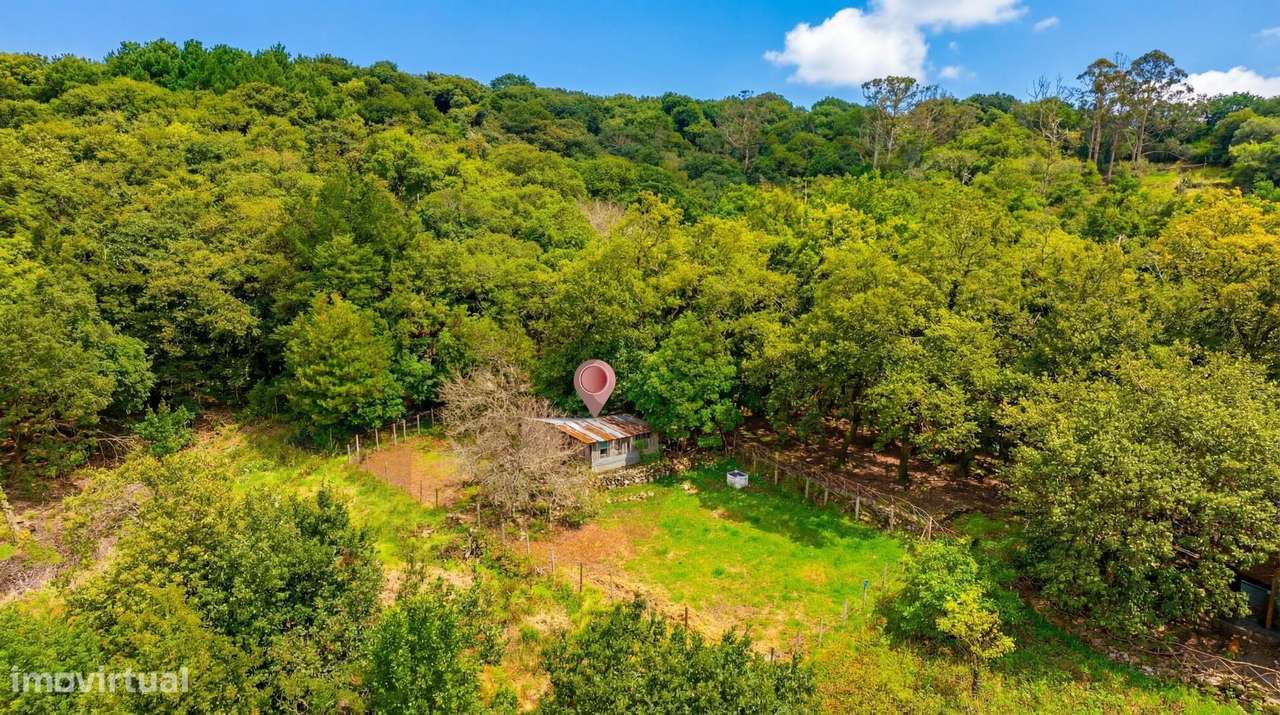 Terreno Rústico com 691m2 - Grande imagem: 4/17