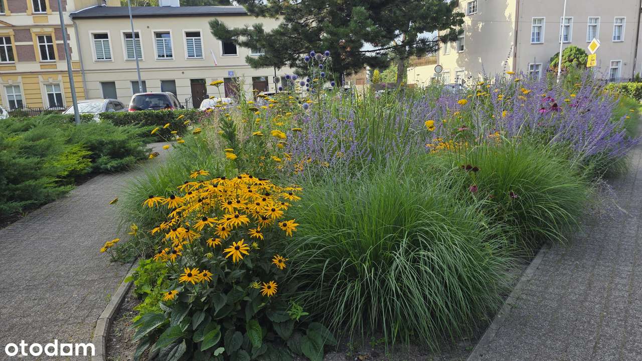 Dwa niezależne mieszkania po remoncie-10