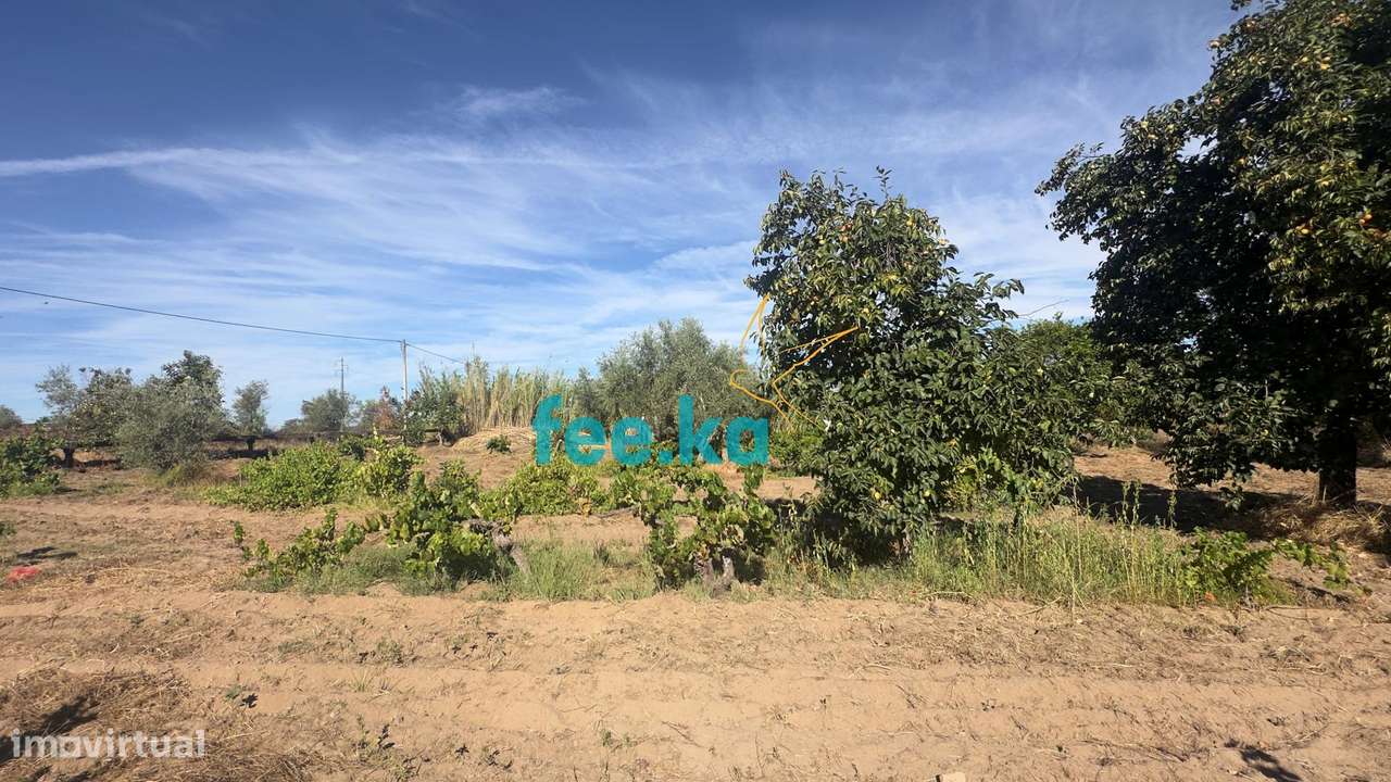 Terreno em Ladoeiro-37