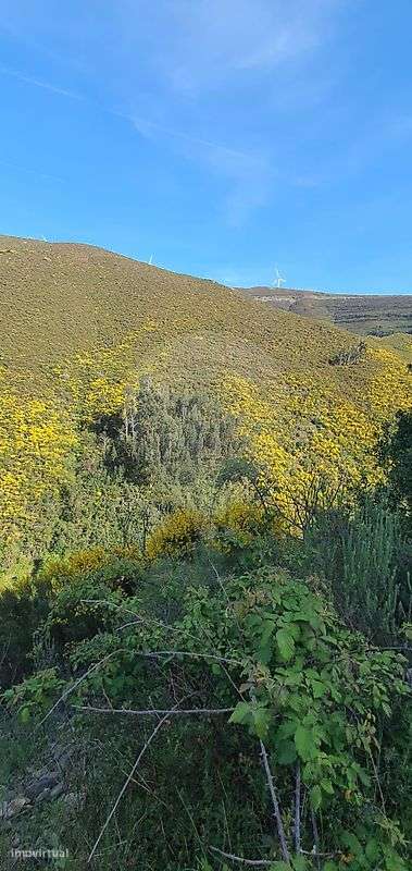 Terreno  para venda - Grande imagem: 4/11