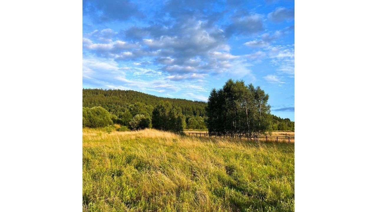 Działka inwestycyjna z widokiem na góry – wyjątkowa lokalizacja-8