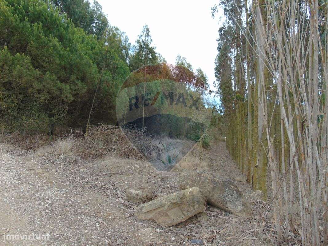 Terreno  para venda - Grande imagem: 3/7