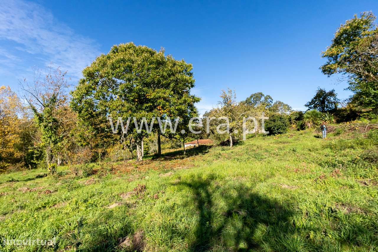 Moradia T3 em pedra - Podornelo-21