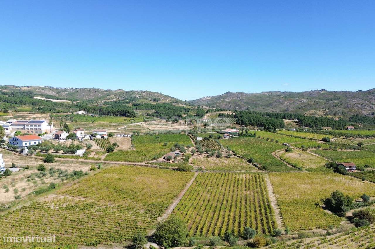 Moradia T6 em Alijó-23