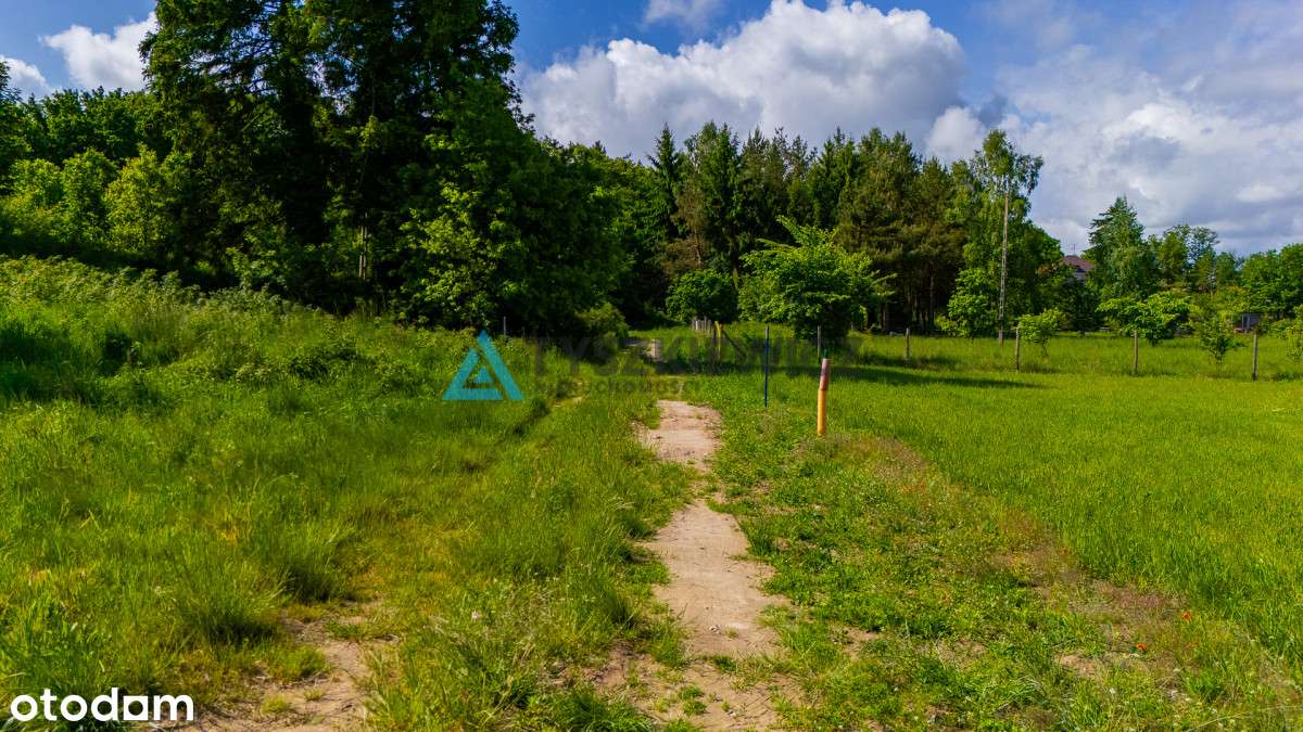 Urokliwa działka nad morzem 1000m2  przy lesie - Pełny obrazek: 5/9