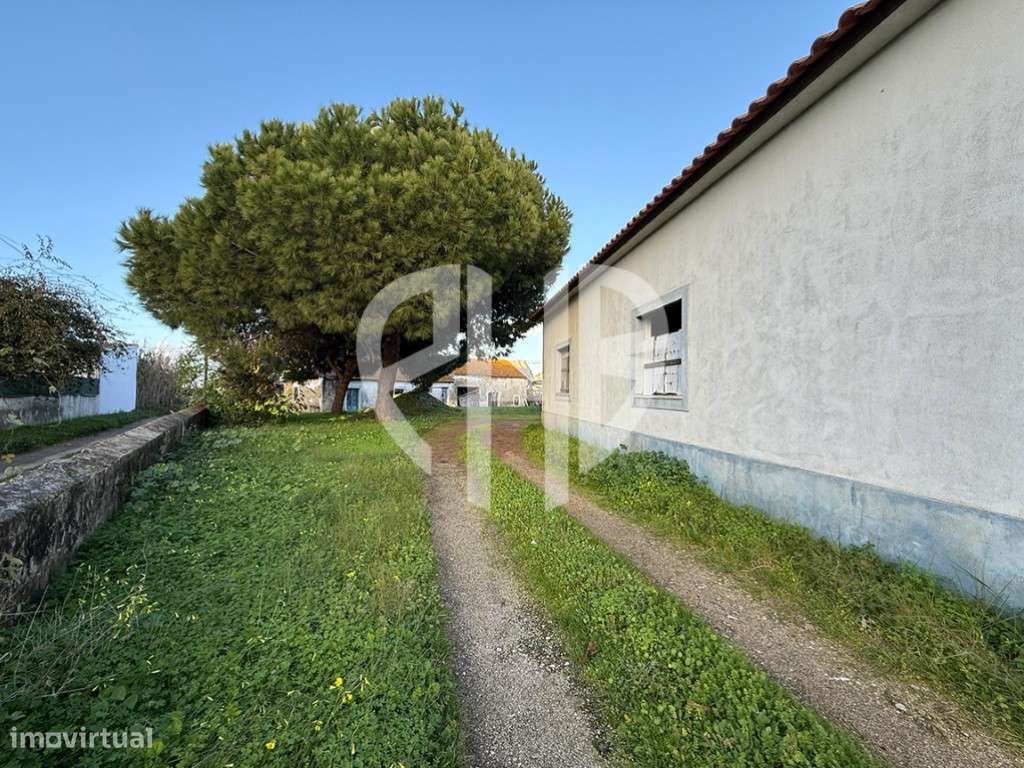 Moradia T3 + Área Terreno 4.150m2 + Atracadouro // P/Recuperar-32