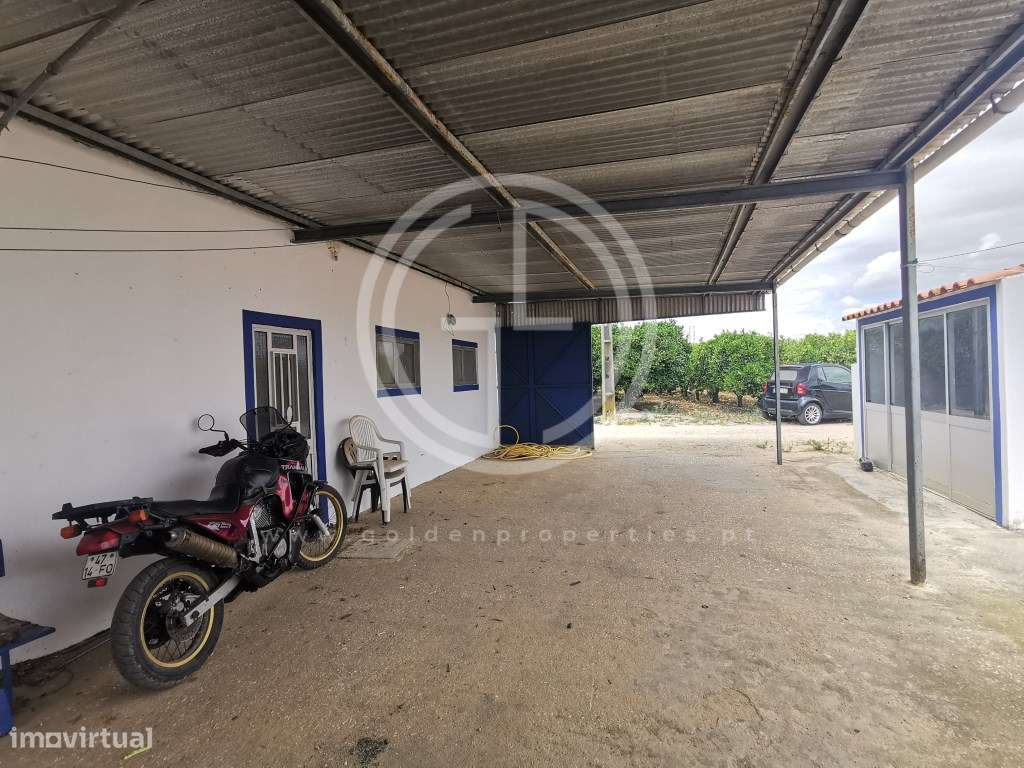 Terreno/ Quintinha em Faro, Sitio do Besouro - Grande imagem: 5/30