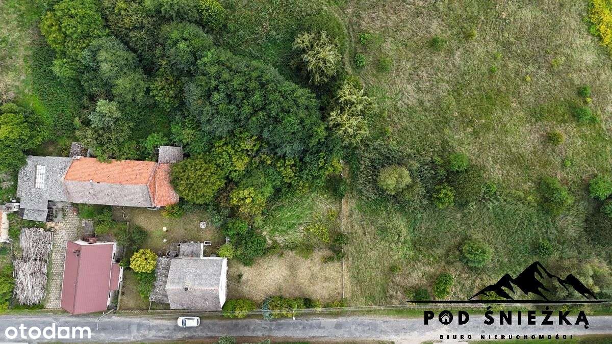 Dom z zabudowaniami- grunty 7300m2- inwestycyjne!-13