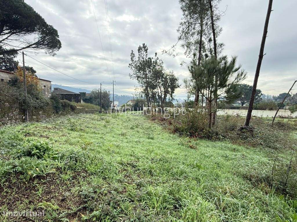 Terreno para construção em Roriz - Grande imagem: 3/12