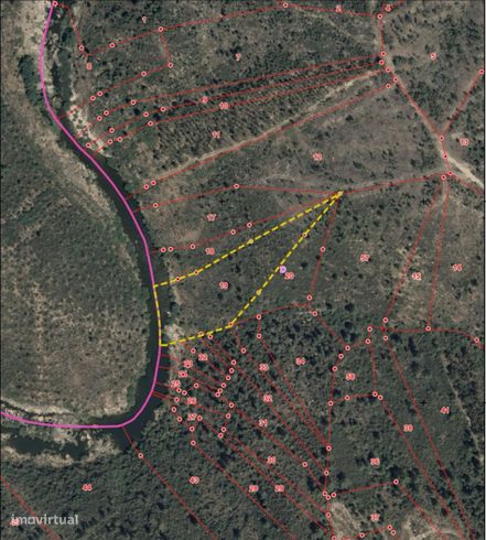 Conjunto 4 terrenos em Castelo Branco: 2 Retaxo + 2 Sarnadas de Rodao-4