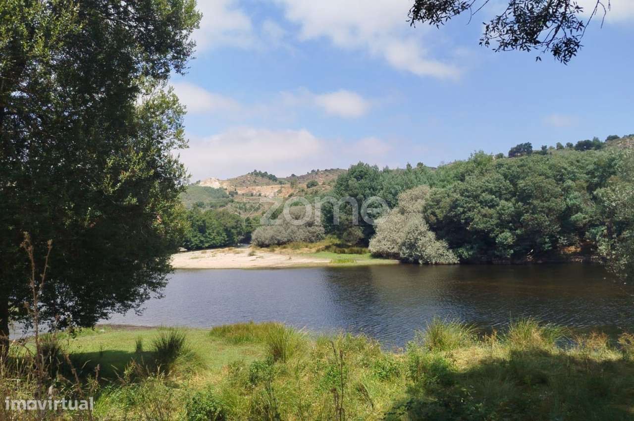 TERRENO COM FRENTE DE RIO - MONDEGO - Grande imagem: 3/18