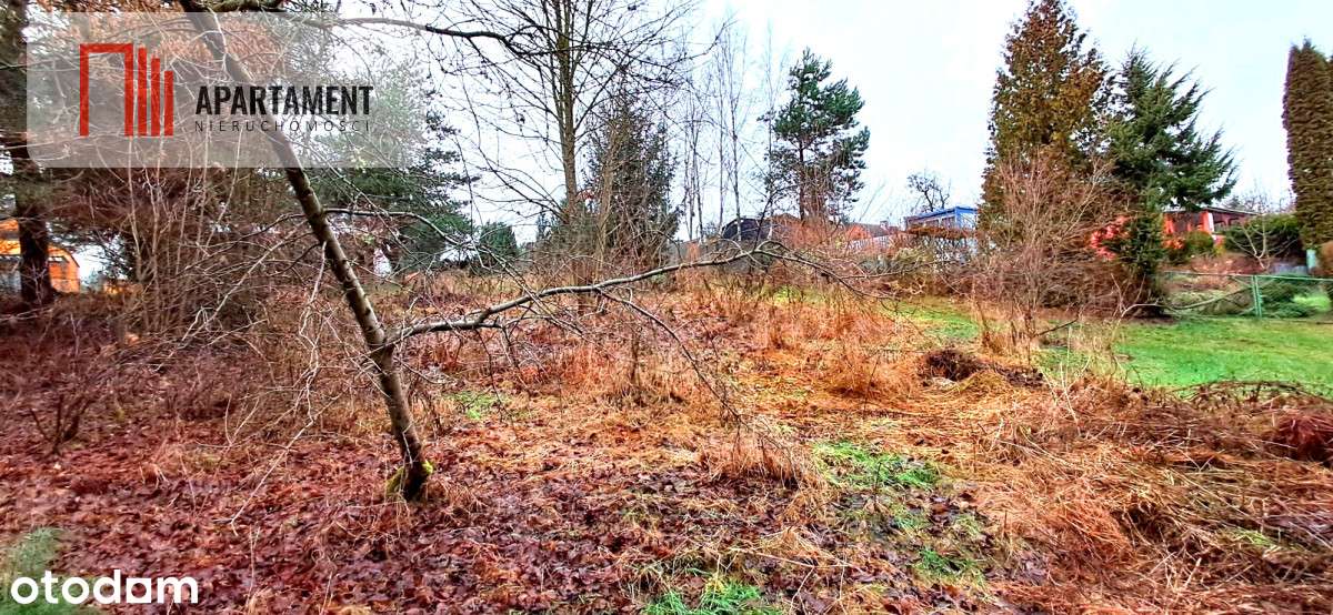 Niewielka działka w okolicy lasu i jeziora - Pełny obrazek: 4/9