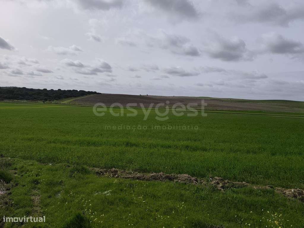 Terreno Rústico com área total de 10, 0375 ha, localizado na fregue... - Grande imagem: 2/19