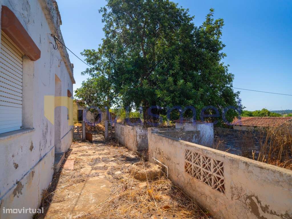 Casa com Projeto Aprovado para Moradia T3 com Piscina | Poço Barret...-9