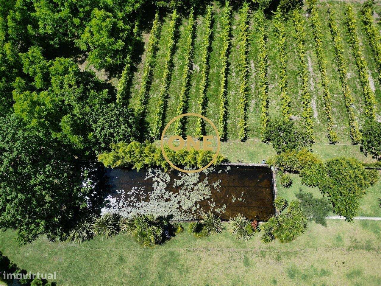 Terreno Florestal em Ribeirão com Moradia Edificada - Grande imagem: 5/42