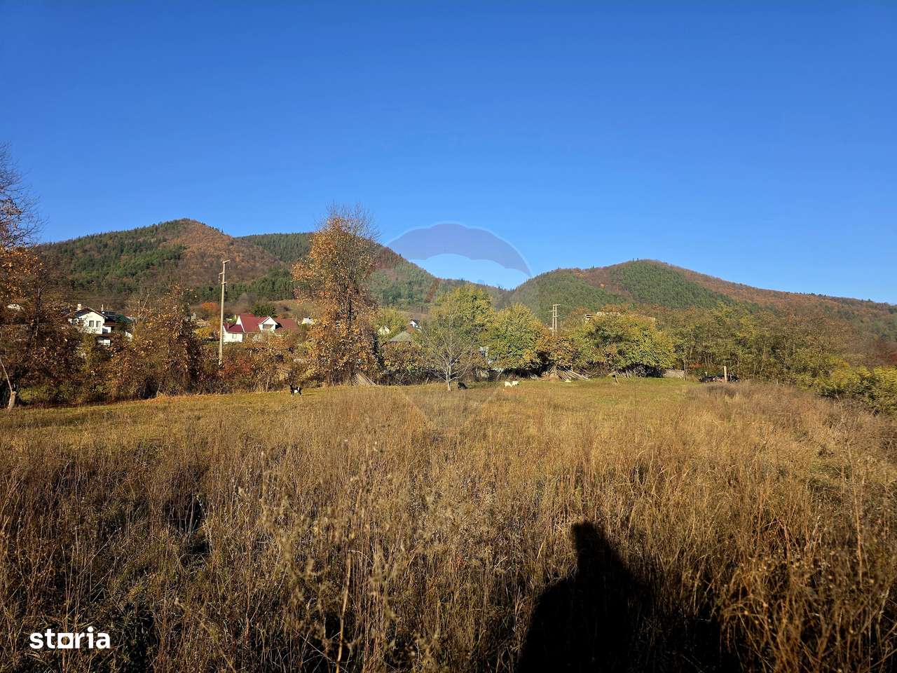 Teren 6,874mp Alexandru cel Bun / Strada plopusor - Imagine principală: 5/17