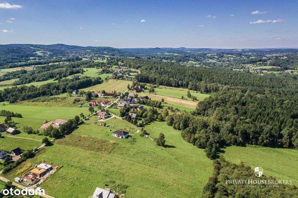 Działka 1ha w Krzyszkowicach–idealna inwestycja - Pełny obrazek: 4/7