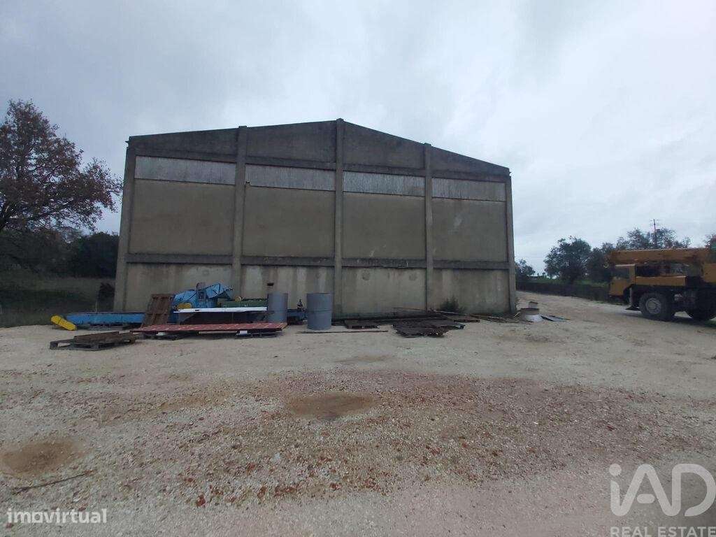 Hangar em Pedreiras de 775,00 m2 - Grande imagem: 5/16