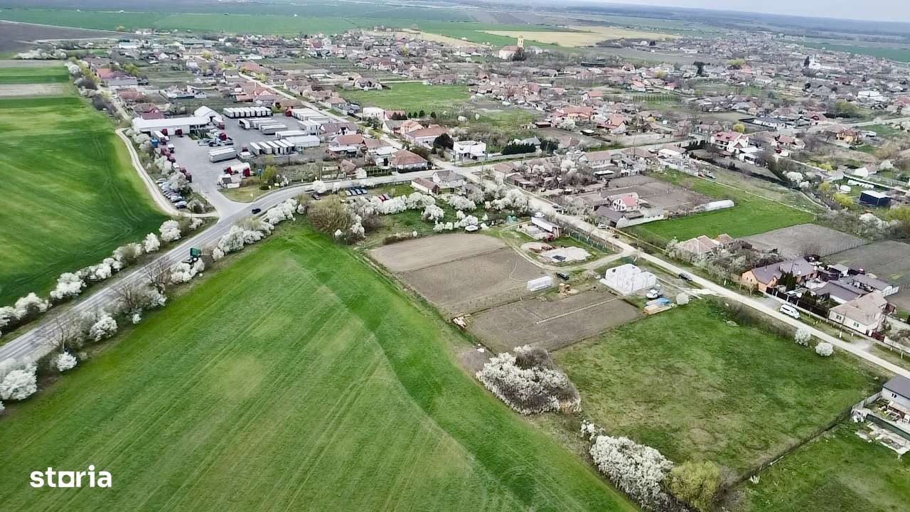 Teren excepțional de vânzare 4283mp 2CF-uri 56ml Turnu-3