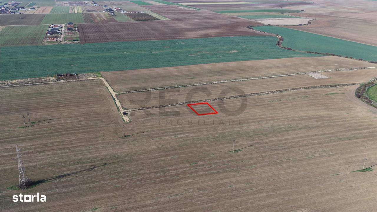 RECO Teren intravilan in LIvada de Bihor - Imagine principală: 5/5