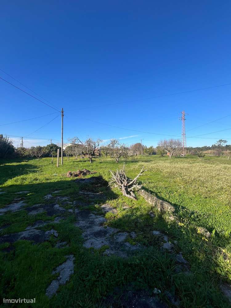 Excelente oportunidade para investimento, habitação própria ou casa de - Grande imagem: 4/8