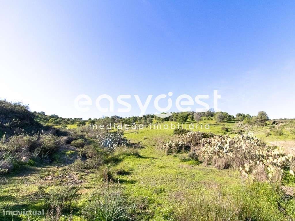 Lote de Terreno Rustico para cultura de sequeiro nas Fontainhas - Grande imagem: 5/14