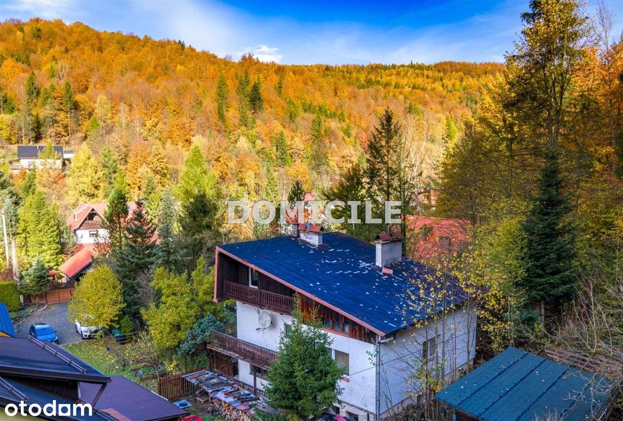 Dom w górach otoczony lasem - Pełny obrazek: 5/20