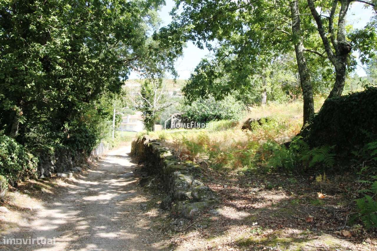 Moradia para Recuperar com Amplo Terreno e Potencial Infinito em Frian-18