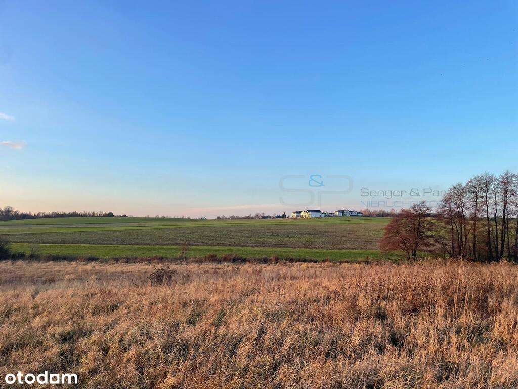 Piękna działka 1226 m2 Morasko - Pełny obrazek: 4/5