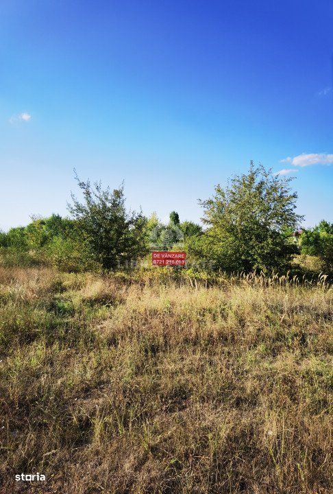 Teren Corbeanca (tamasi - corbeanca park) 1080mp