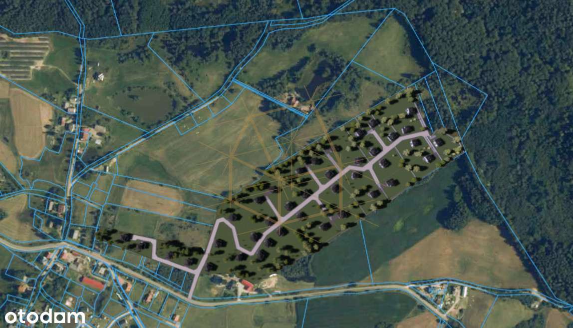 Jezioro/Kameralne Osiedle/ Pod Budowę/ Las/ Kamela - Pełny obrazek: 4/14