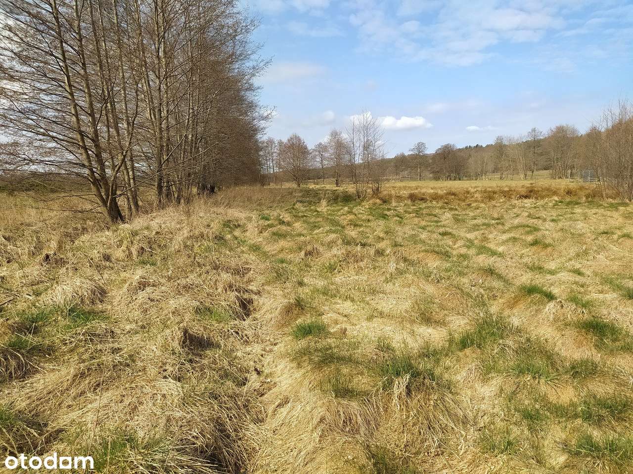 Twój własny kawałek ziemi-6