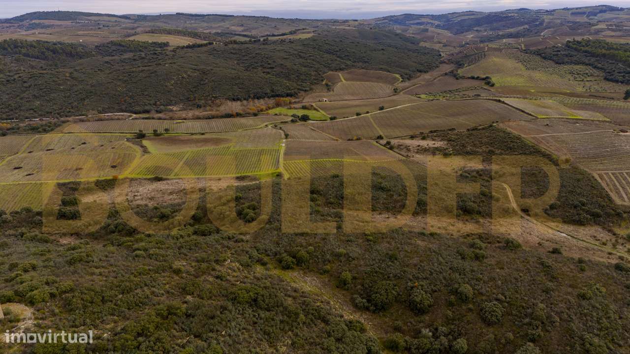 Quinta do Arieiro - Cedovim | Vila Nova de Foz Côa | Douro Superior-47