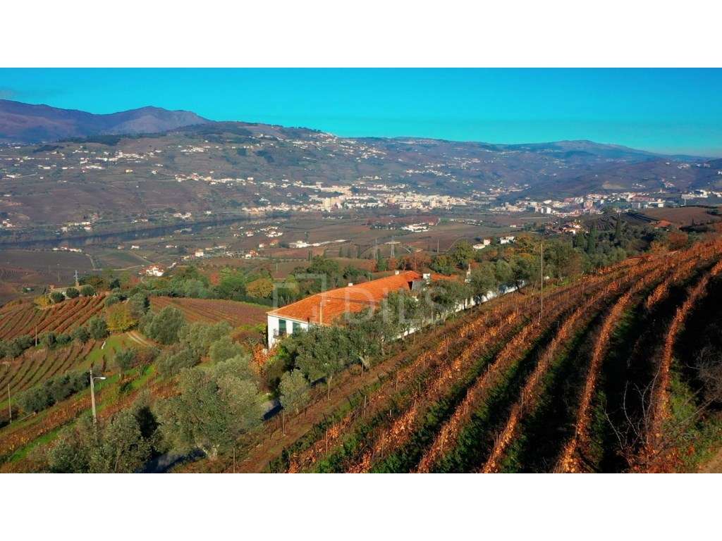 Quinta de Santo António em Peso da Régua, Douro - Grande imagem: 3/50