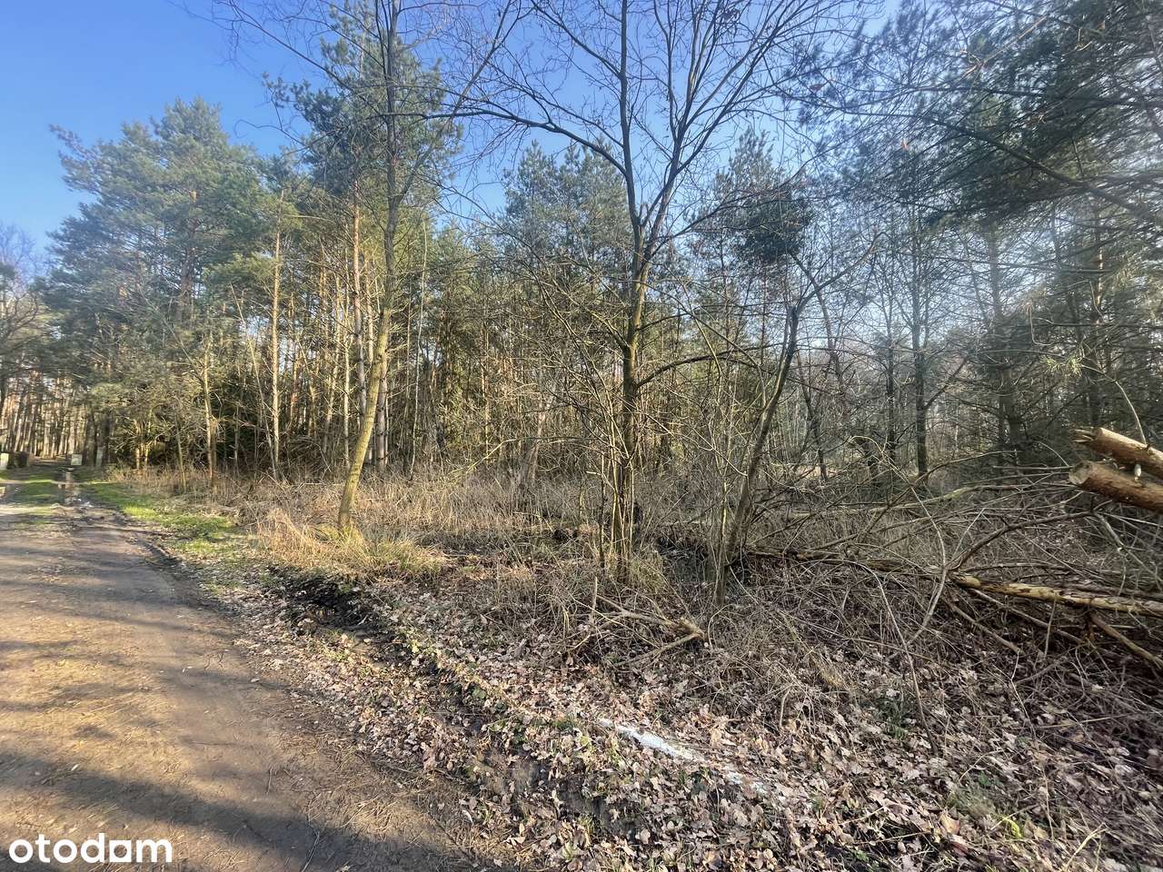 Urokliwie położona działka w Woli Branickiej-4