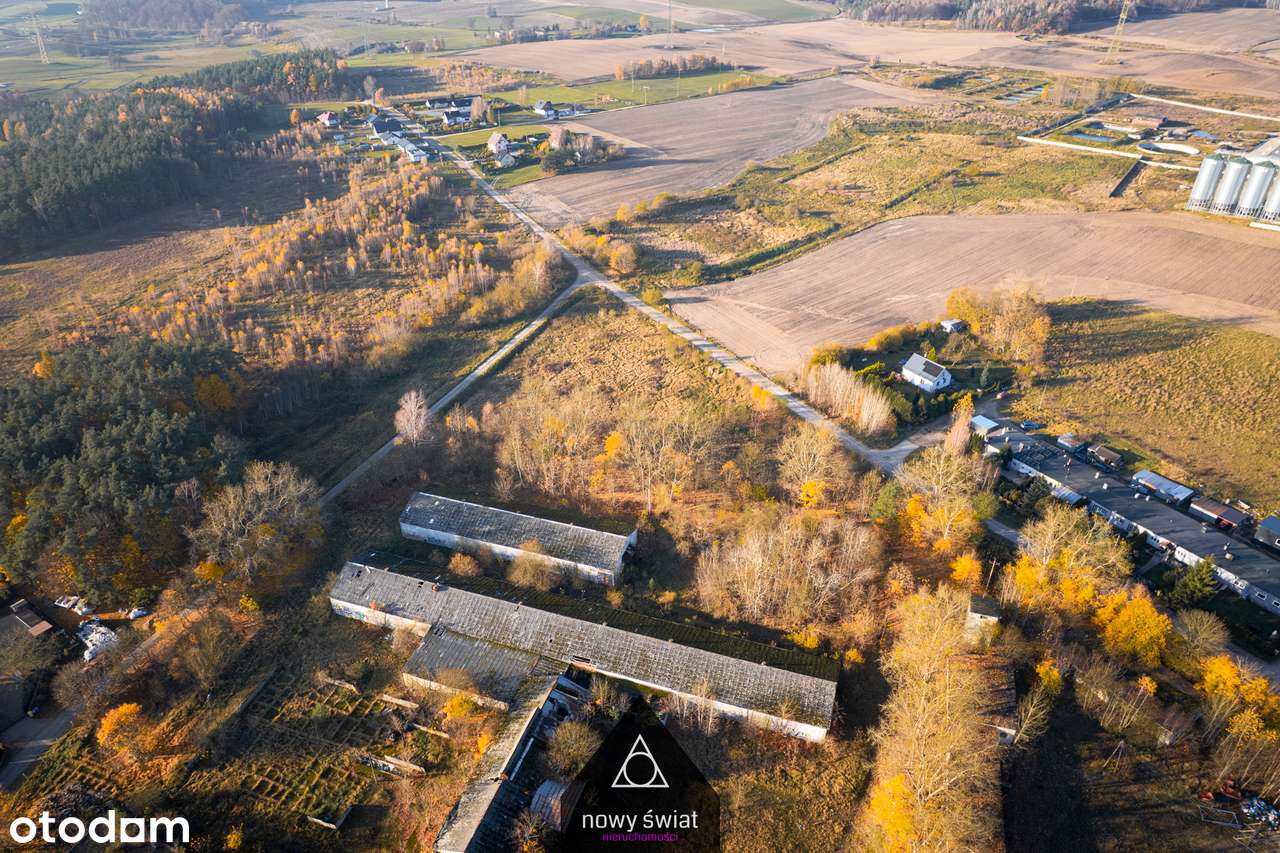 Działka inwestycyjna 76 ar| Grabowo Kościerskie|MPZP| Bez prowizji-10