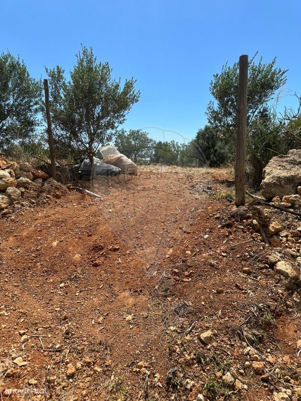 Terreno  para venda