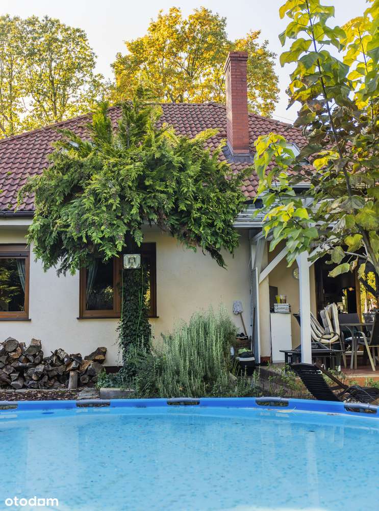 Dom z basenem pod palmą - Pełny obrazek: 4/20