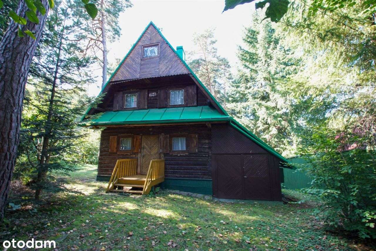 Wiśniowa dom letniskowy w górach, las,strumyk, 53a-6
