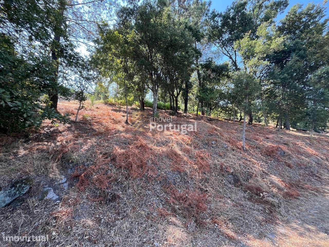 Excelente Preço - Terreno com 3.554m² e Potencial de Construção-7