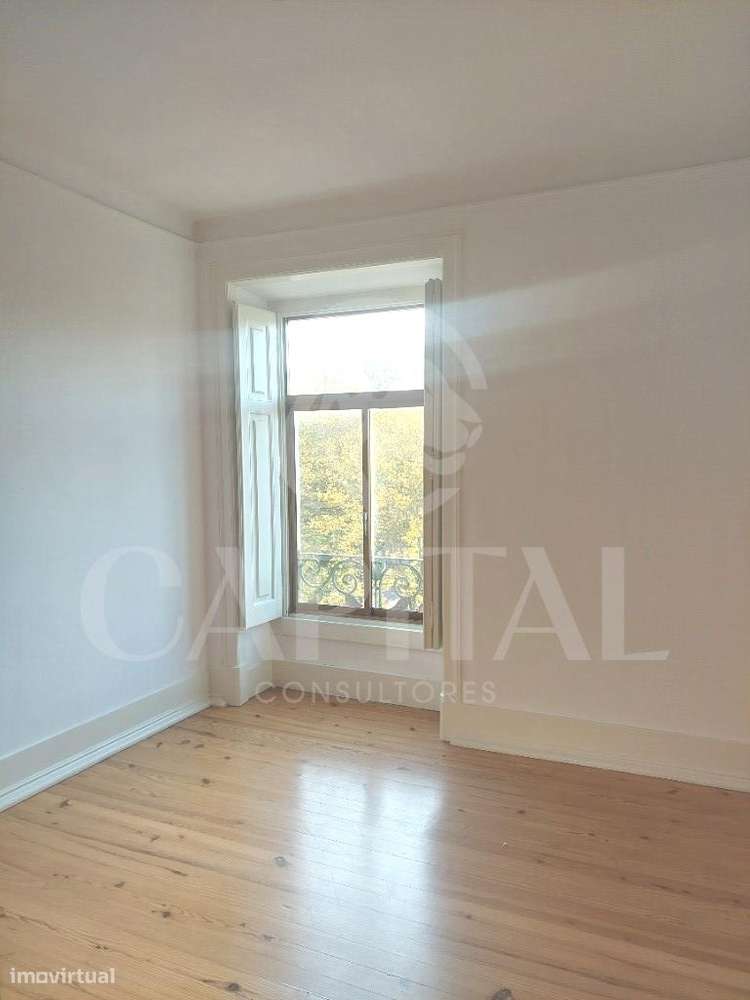 Escritório com 250m2 no Campo Grande - Grande imagem: 5/20