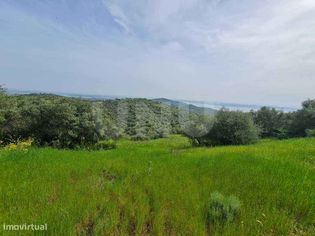 Terreno na Encosta do Castelo de Monsaraz-7