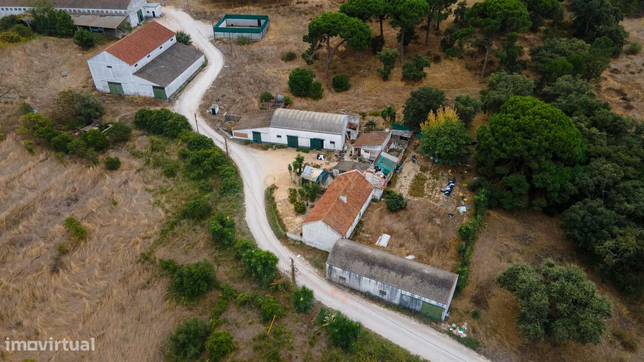 Quinta dos Batudes Palmela - Grande imagem: 2/20