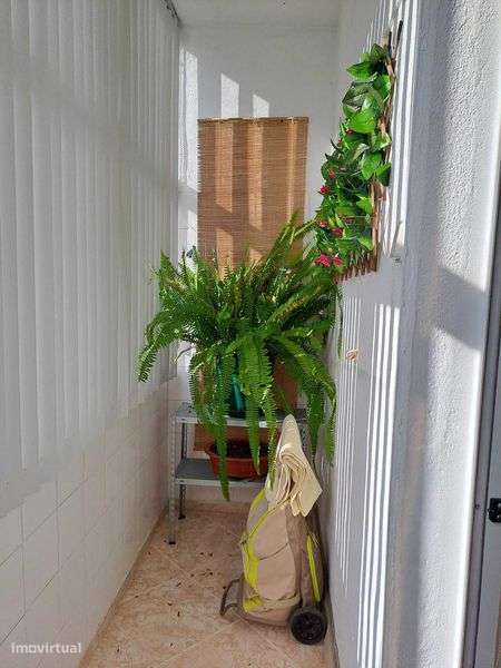 2 Assoalhadas remodeladas - Grande imagem: 5/5