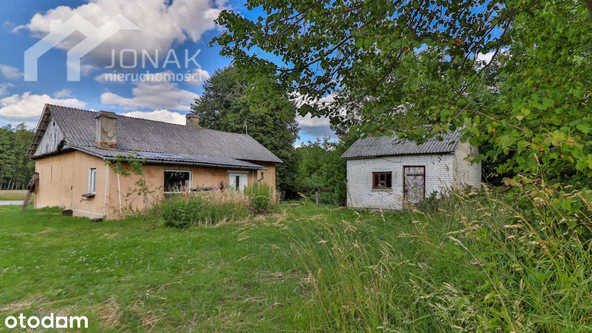 Siedlisko blisko lasu i zalewu - Pełny obrazek: 3/16