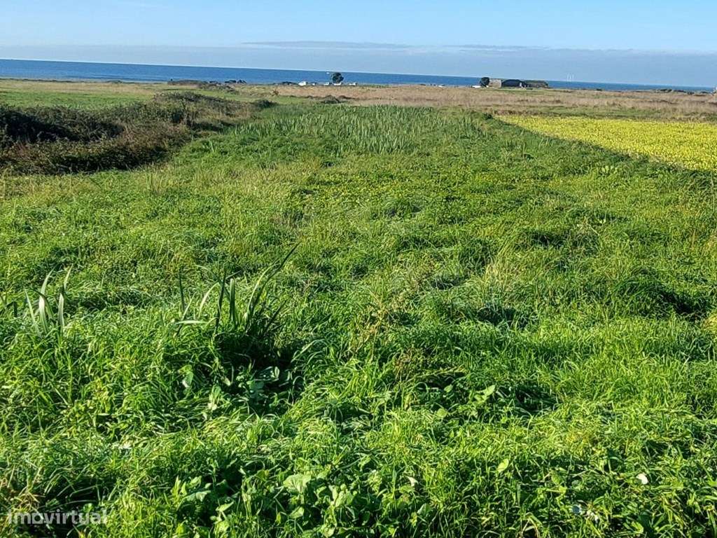 Terreno Agrícola para Venda - Areosa, Viana do Castelo - Grande imagem: 3/9